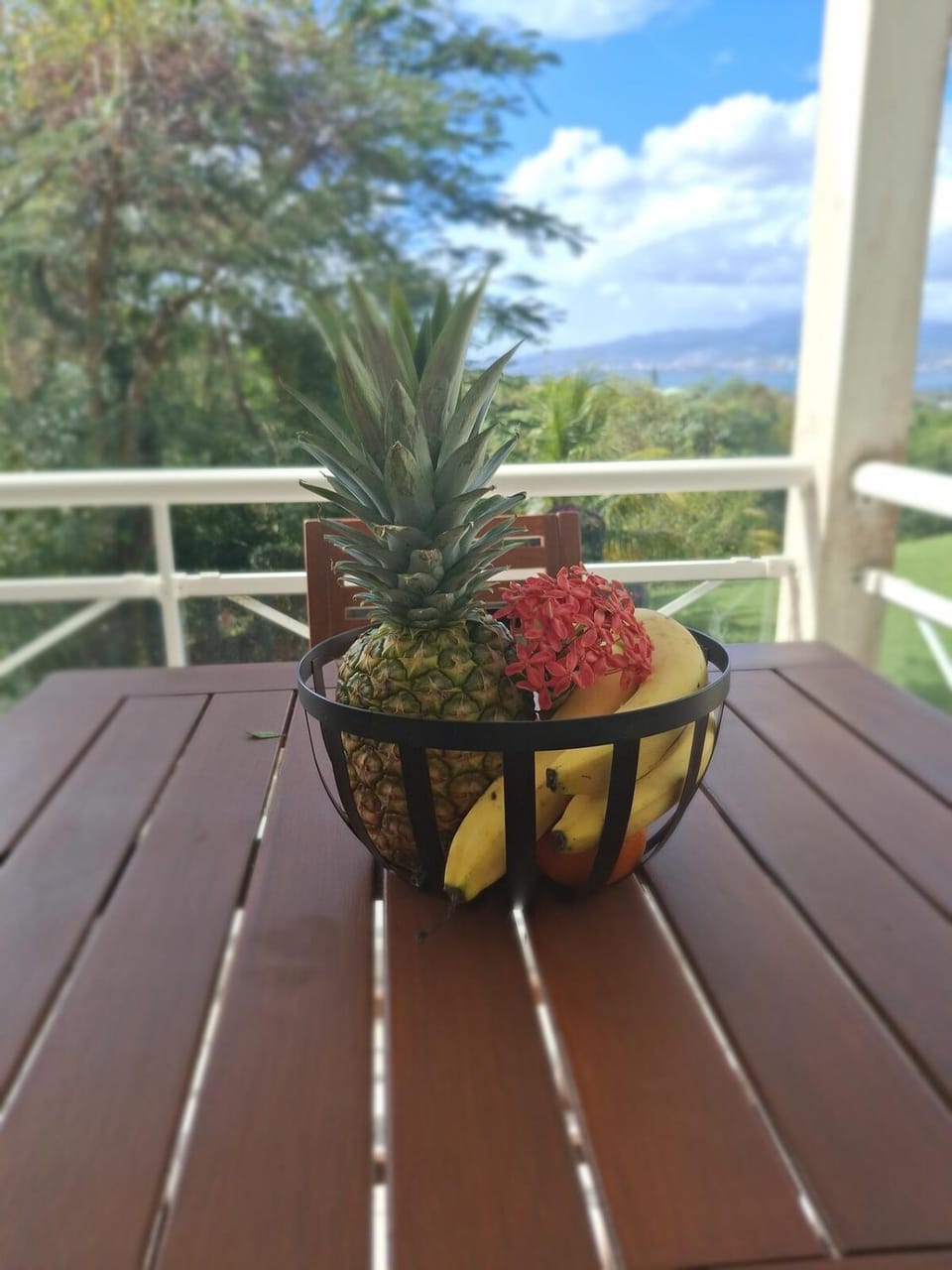Balcony/Terrace, Balcony/Terrace