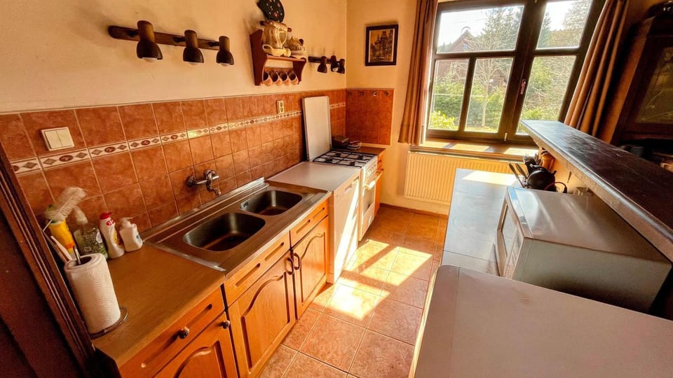 Kitchen or kitchenette, dishwasher, stove