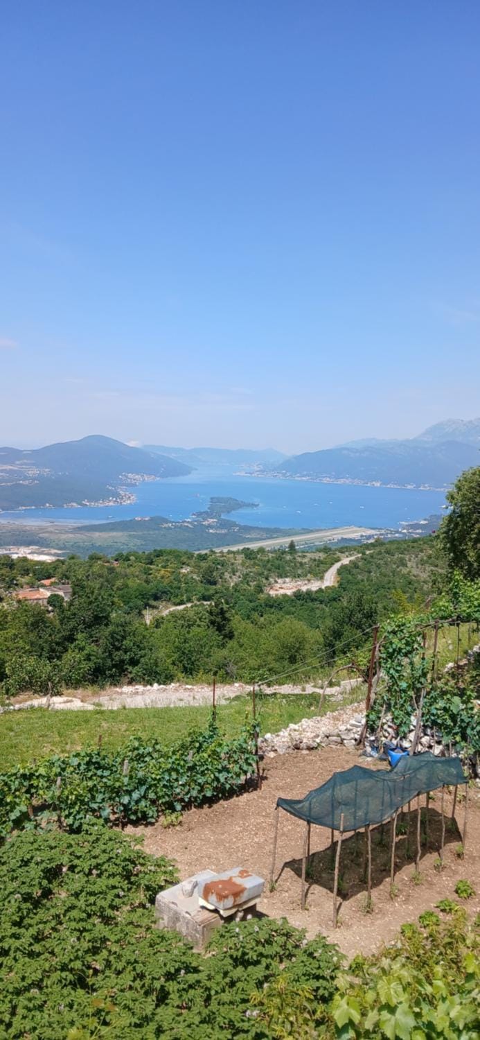 Sea view