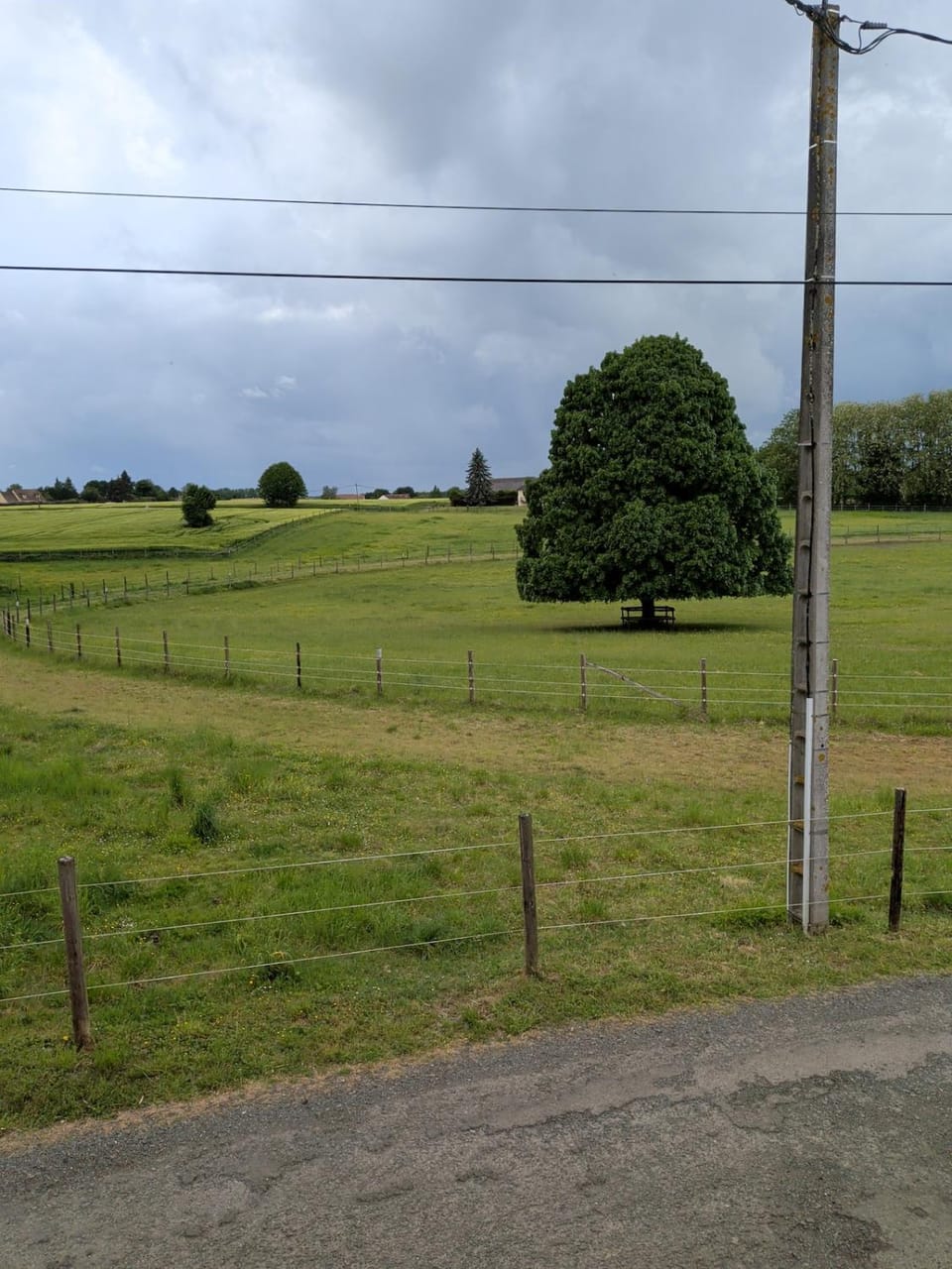 View (from property/room)