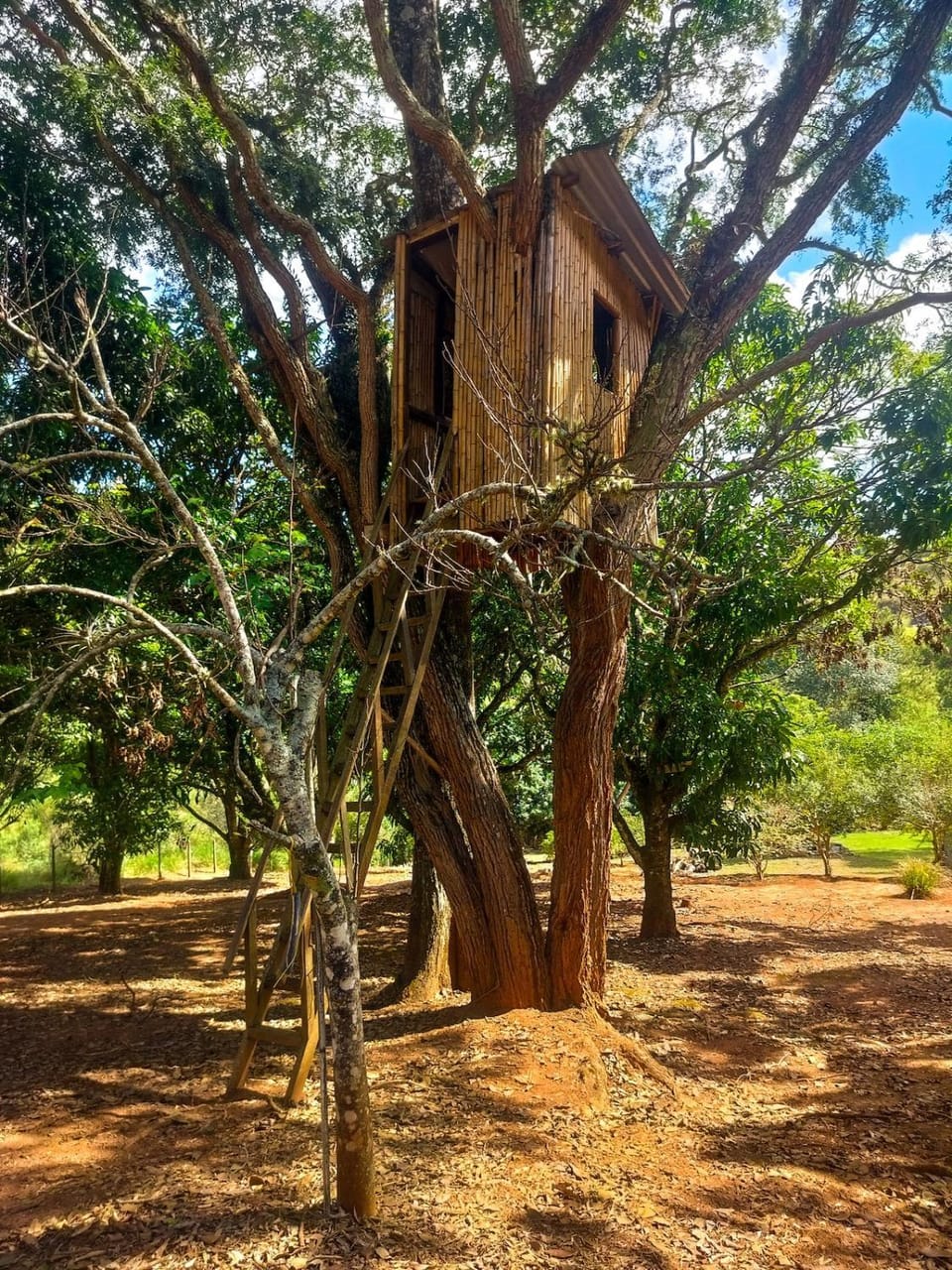 Refúgio Beija Flor Chalé com Casa na Árvore House in Atibaia