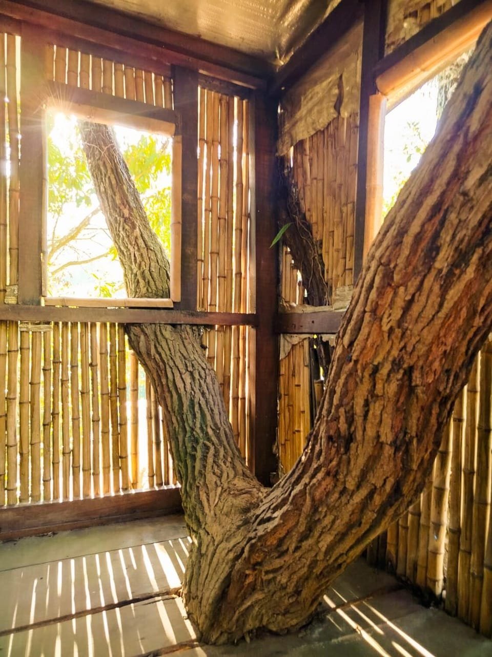 Refúgio Beija Flor Chalé com Casa na Árvore House in Atibaia