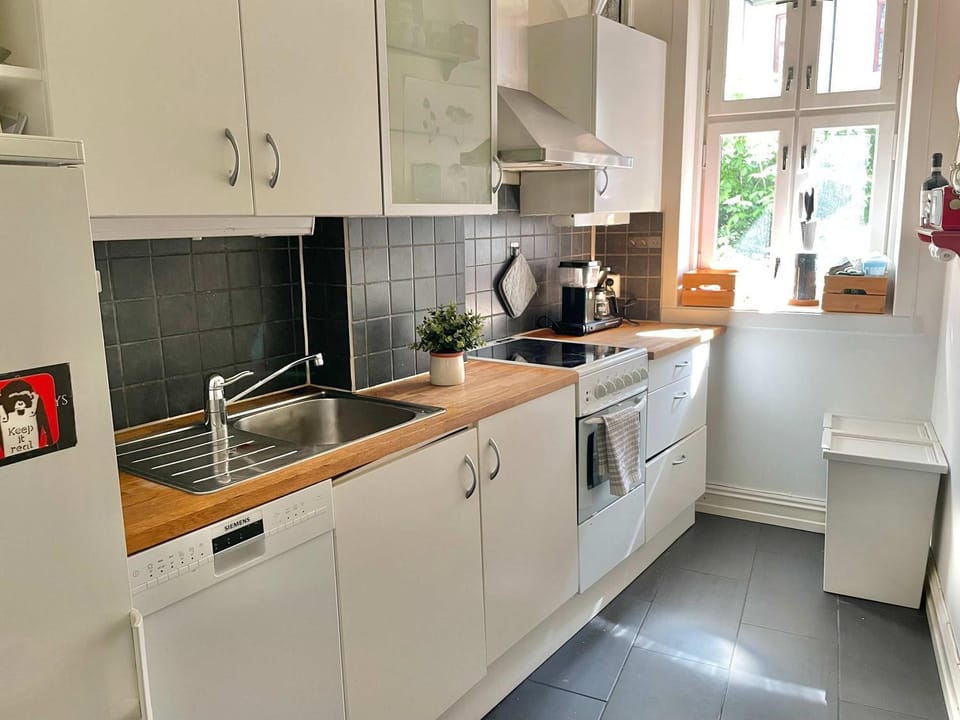 Sjarmerende leilighet midt på Grünerløkka Apartment in Oslo