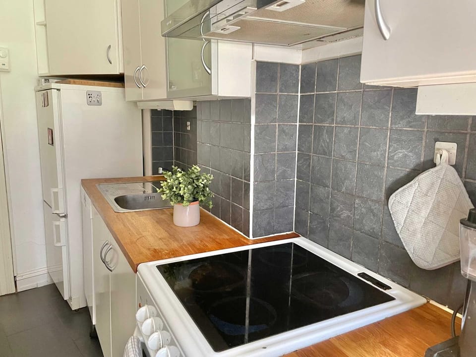 Sjarmerende leilighet midt på Grünerløkka Apartment in Oslo