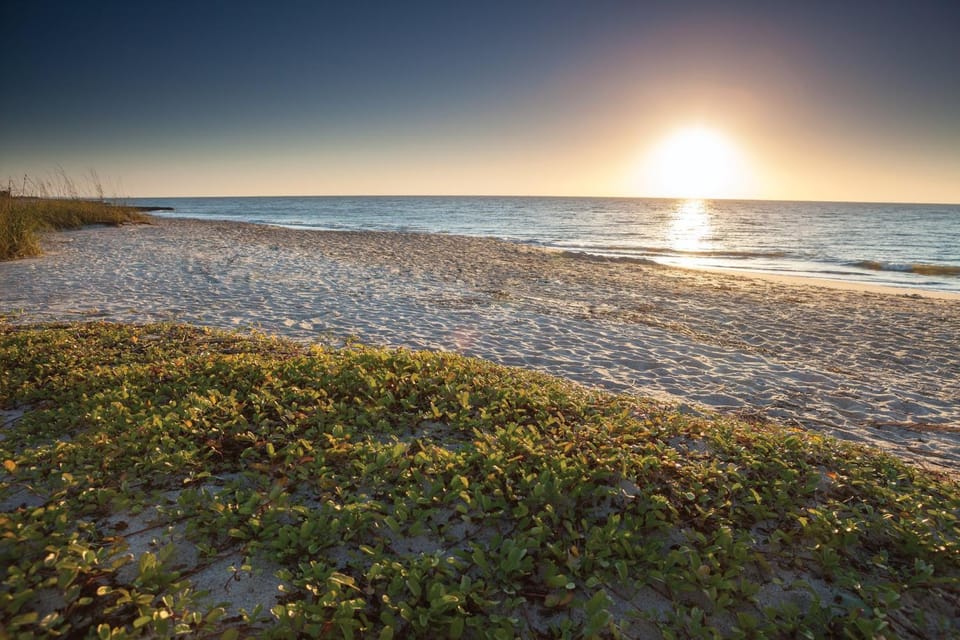 Wyndham Ocean Ridge Eight 8BR Apartments House in Edisto Beach
