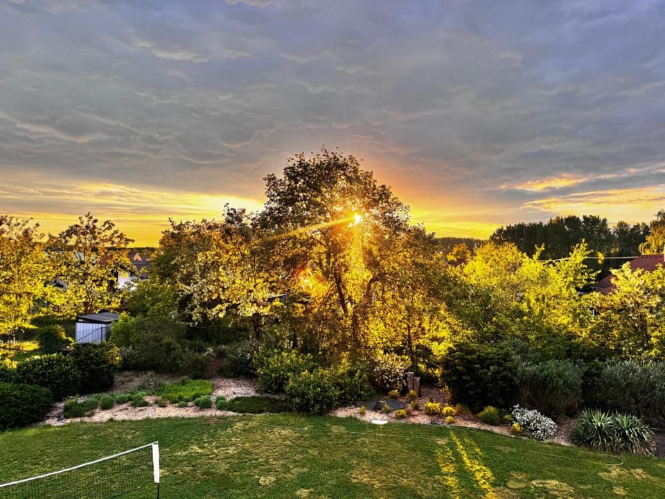 Garden, Garden view, Sunset
