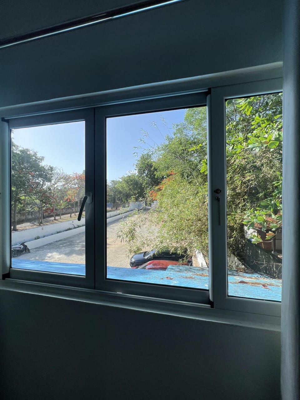 Garden view, Inner courtyard view