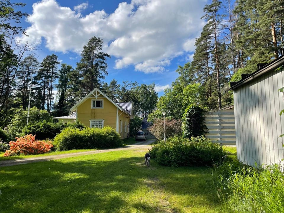 Garden view