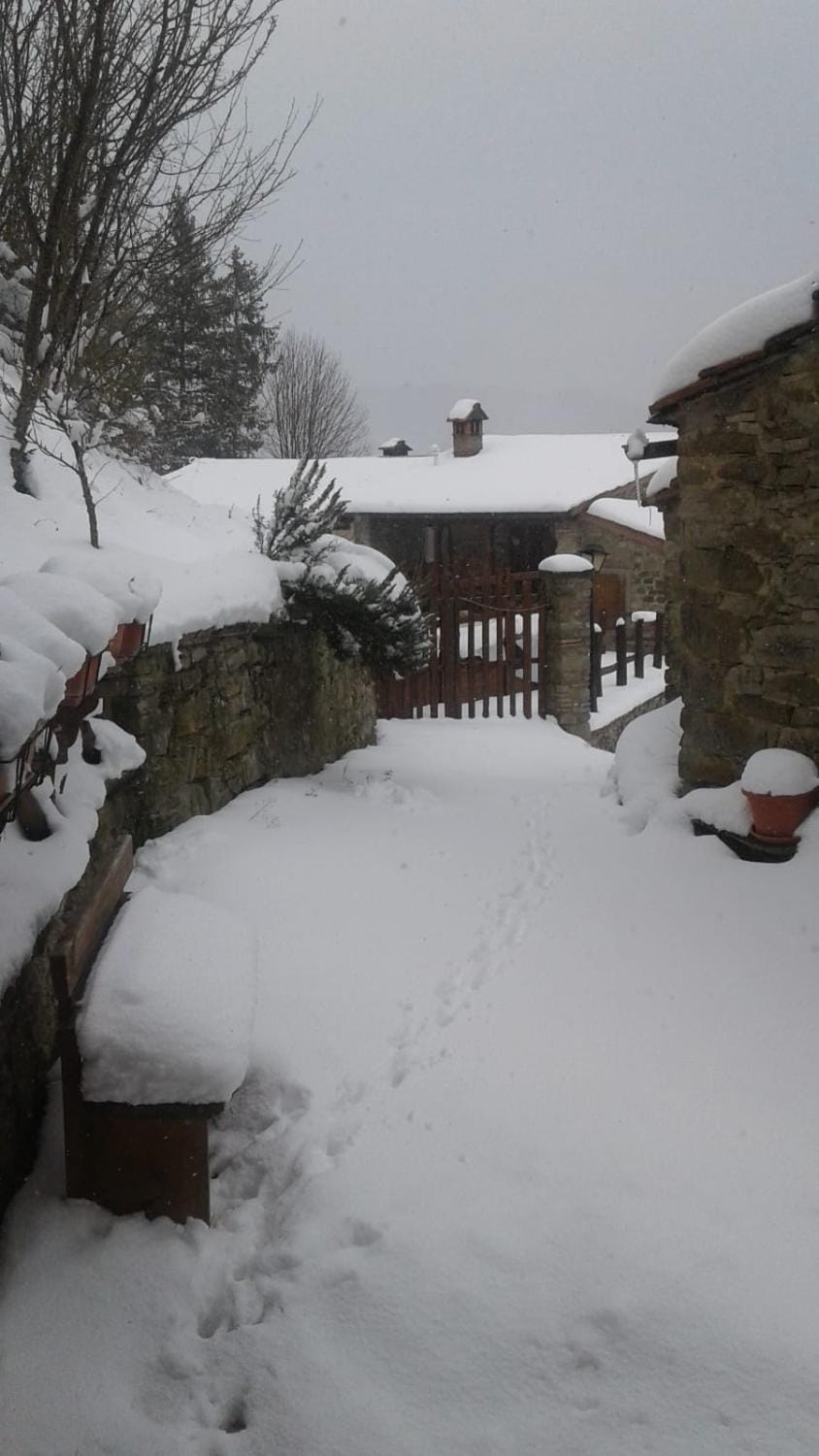 B&B Borgo Valagnesi casa Annarita Bed and Breakfast in Emilia-Romagna