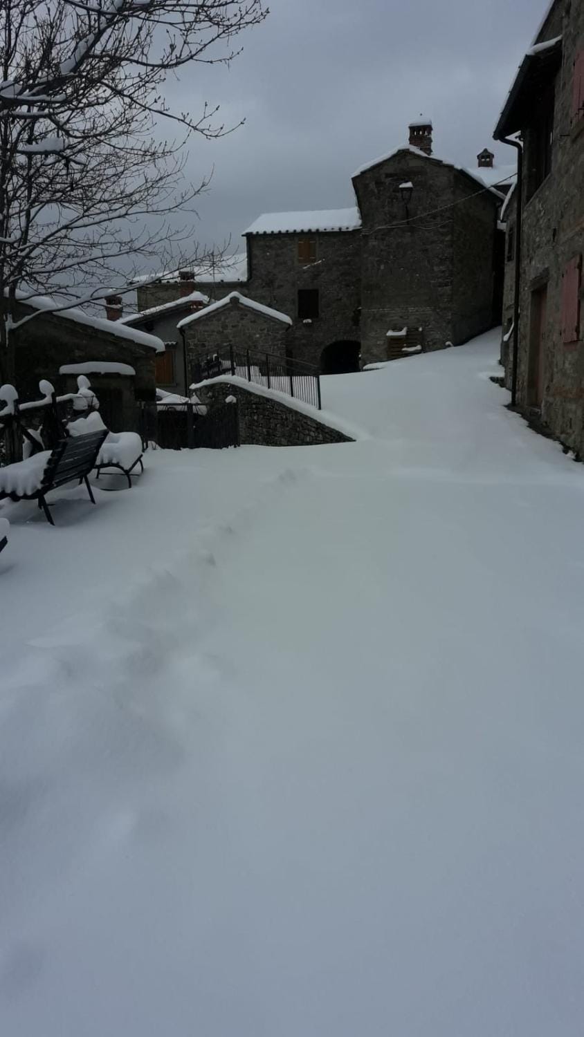 B&B Borgo Valagnesi casa Annarita Bed and Breakfast in Emilia-Romagna