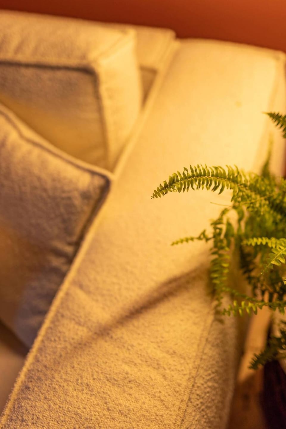 Salasul - A Restorative Stay in Central Cluj Apartment in Cluj-Napoca