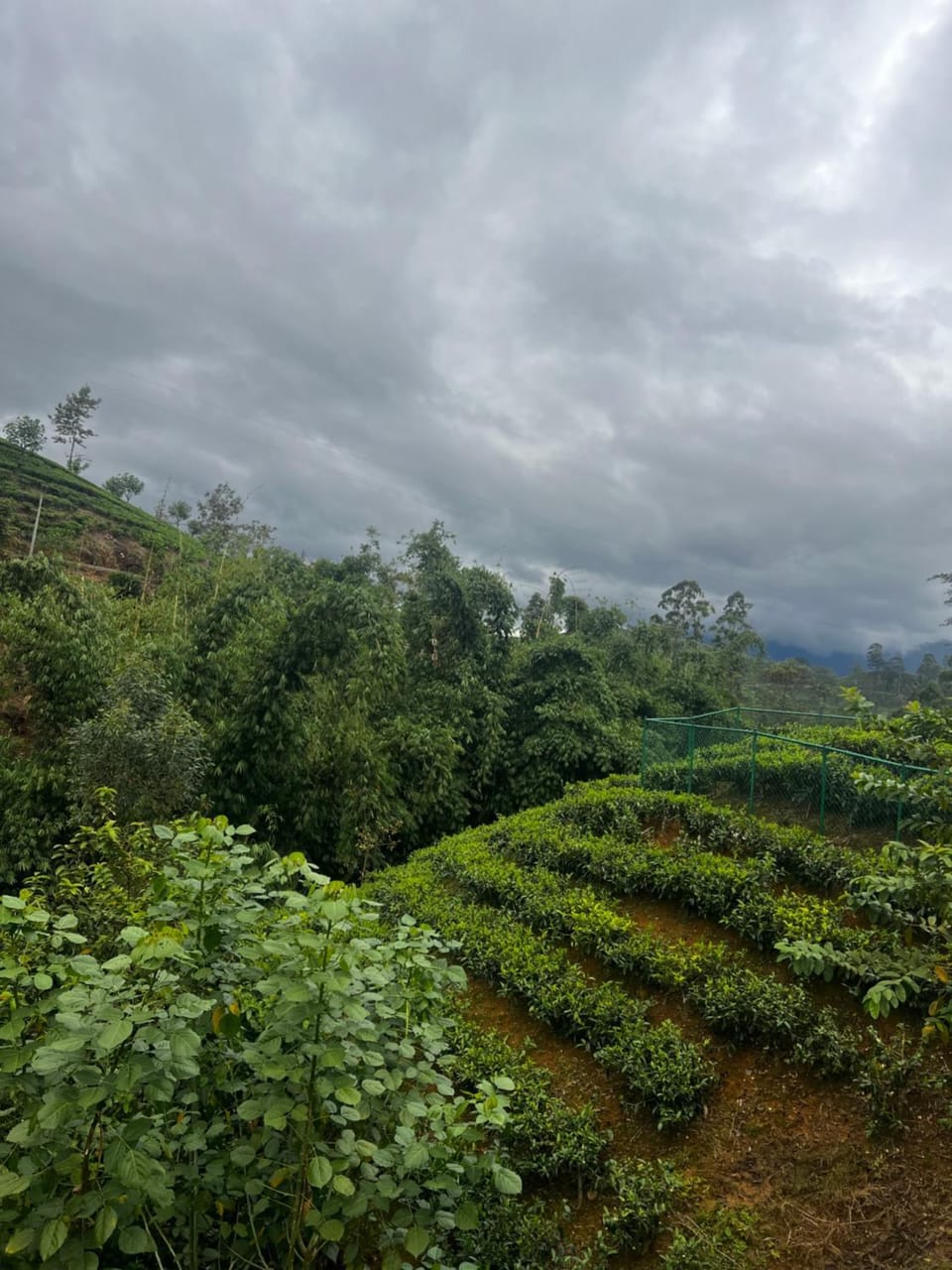 Doctor G House Villa in Central Province