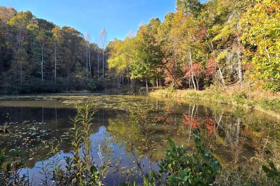 Secluded Off-Grid Glamping Tent on 180 Acres near Ponds & Forest Trails, Lenoir, NC Luxury tent in Caldwell