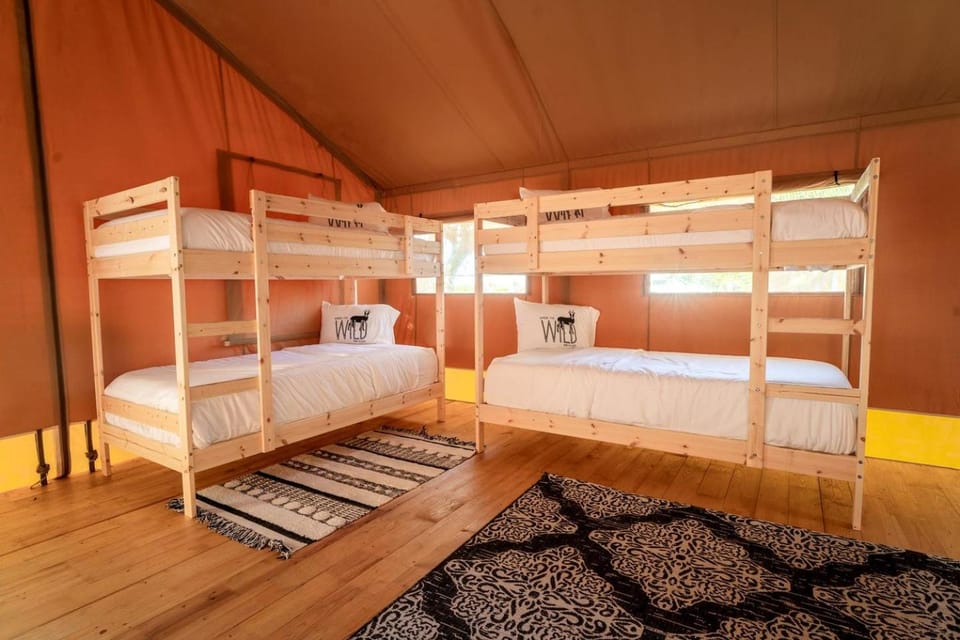 Luxurious Deluxe Safari Tent with King Bed and Outdoor Fire Pit in Bradenton, Florida Luxury tent in Florida