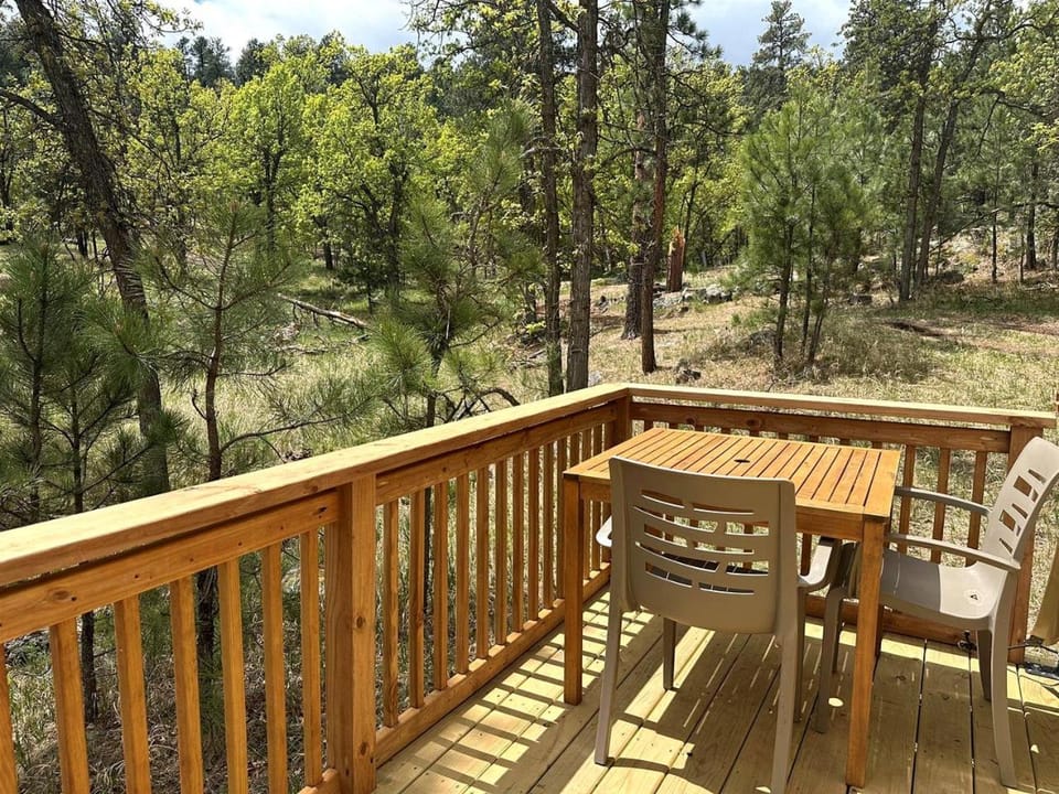 Peaceful Forest Glamping Retreat Near the Black Hills, Hermosa, South Dakota Chalet in East Custer
