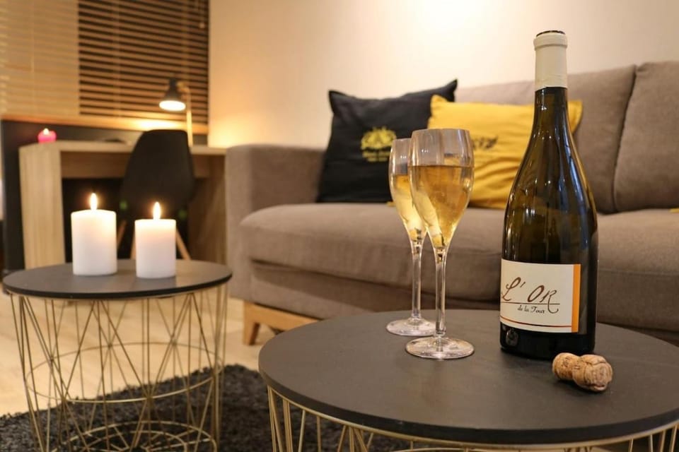 AGENCE MOMENT'APART Blackswan Apartment in Lille