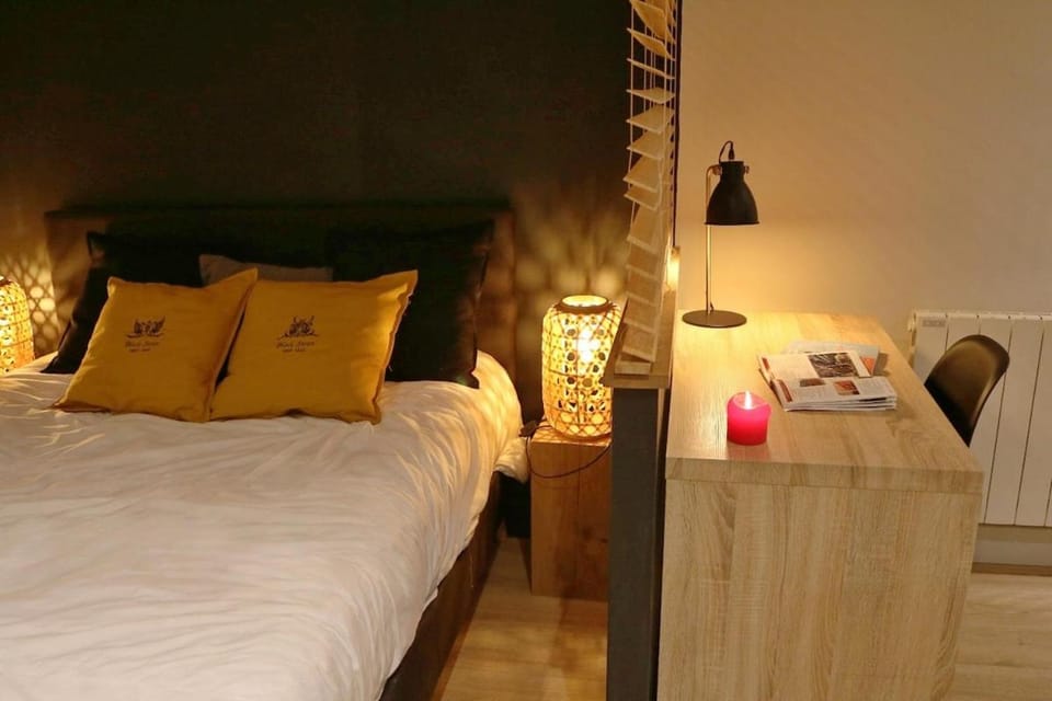 AGENCE MOMENT'APART Blackswan Apartment in Lille