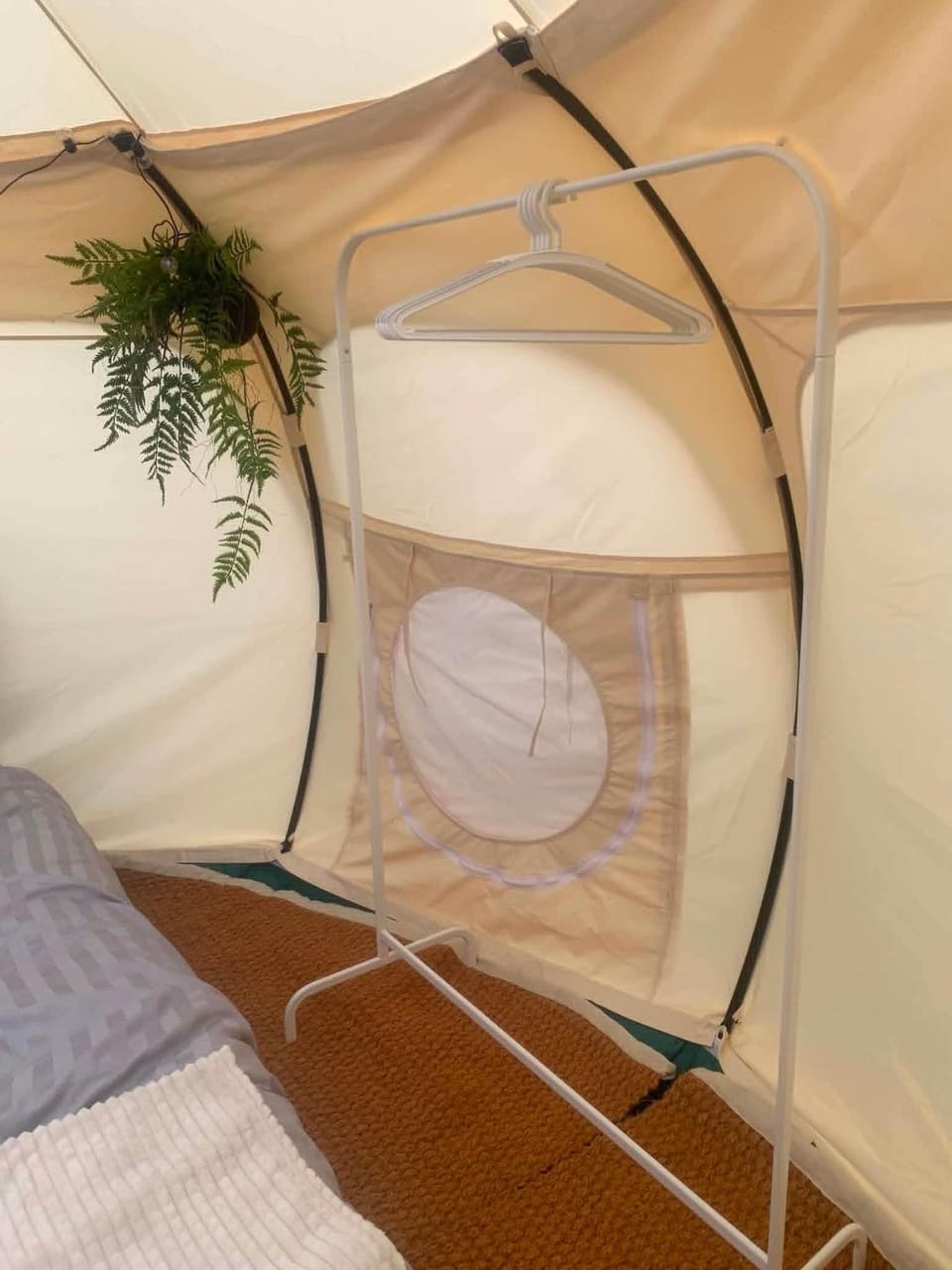 Moss | Stargazer Resort bland skog och djur House in Sweden