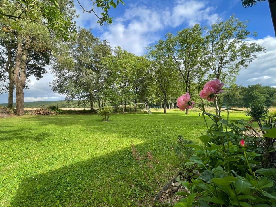 Spring, Garden
