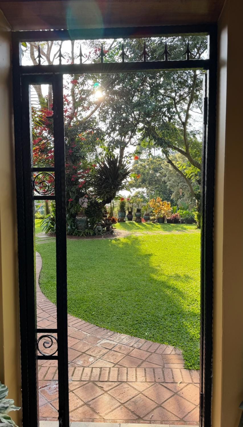 Garden view