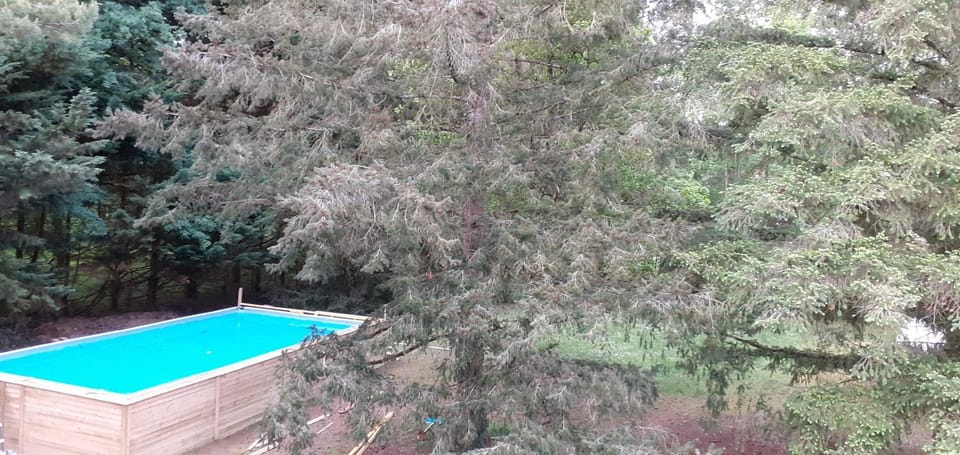 Property building, Swimming pool