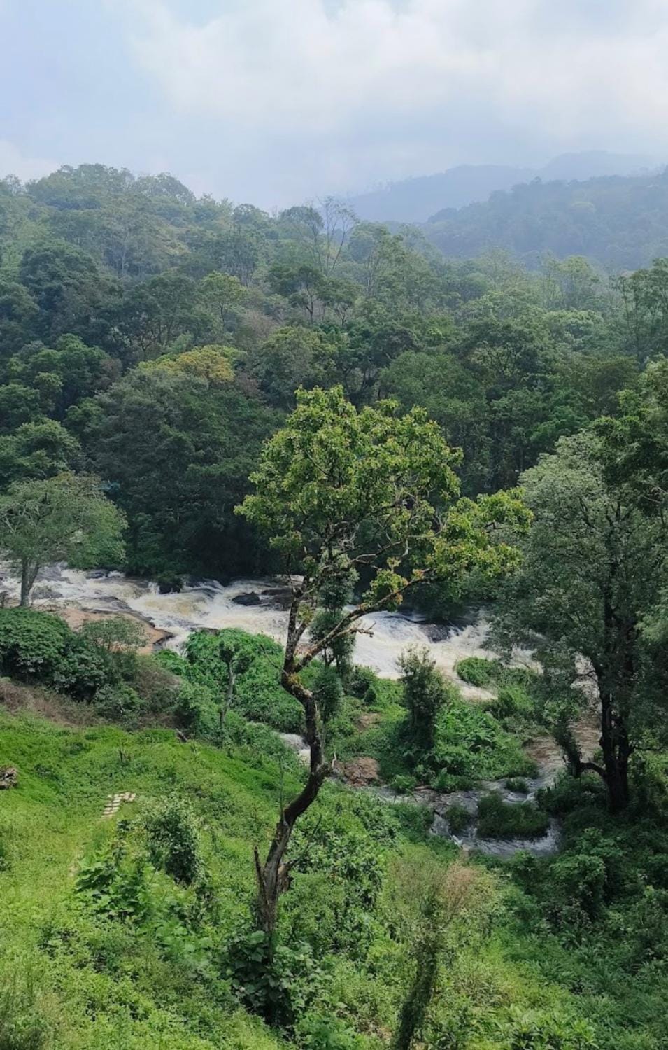 Munnar Gate Residency Hotel in Kerala
