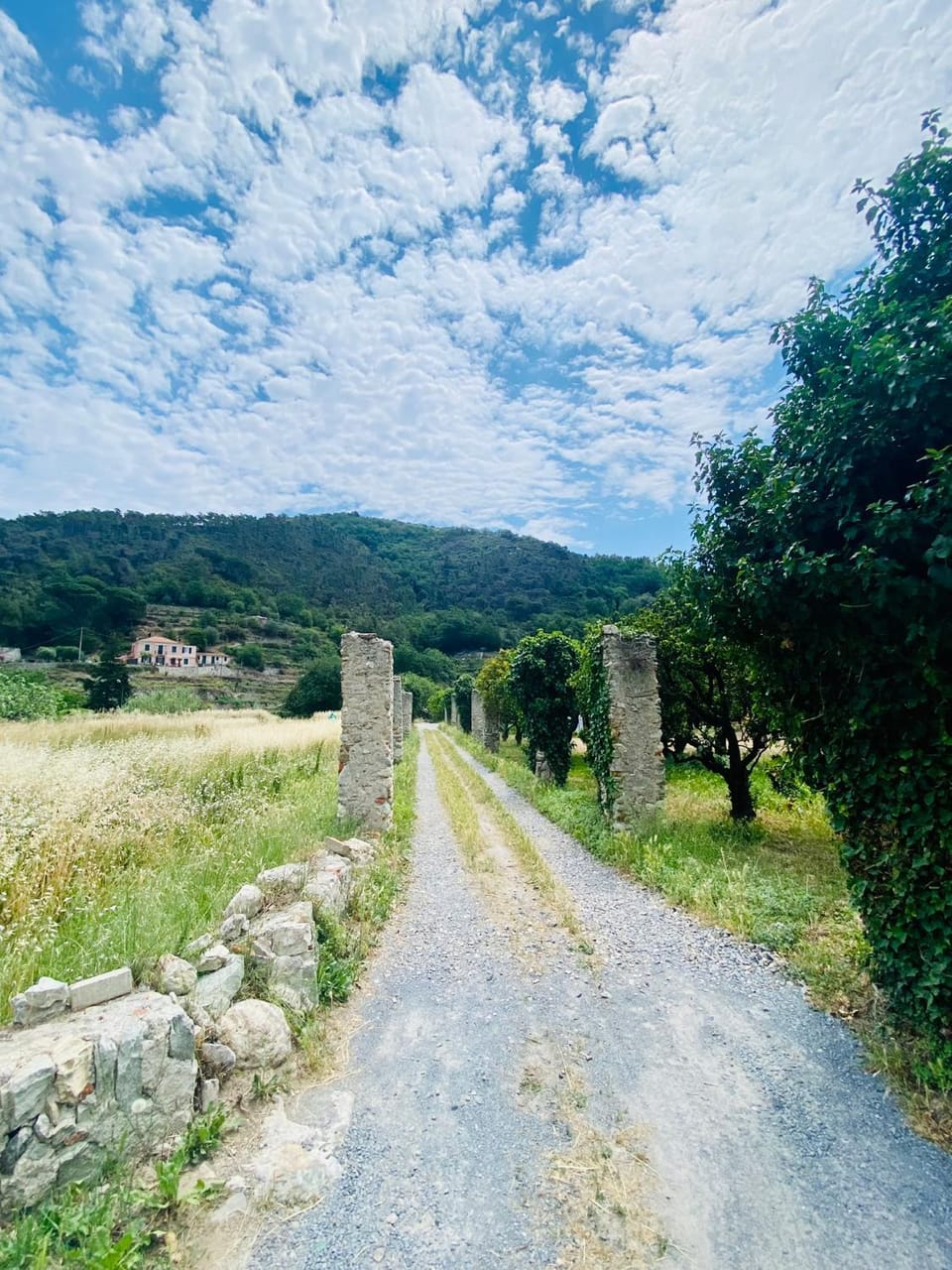 Hostdomus - Villa Cassi Apartment in Finale Ligure