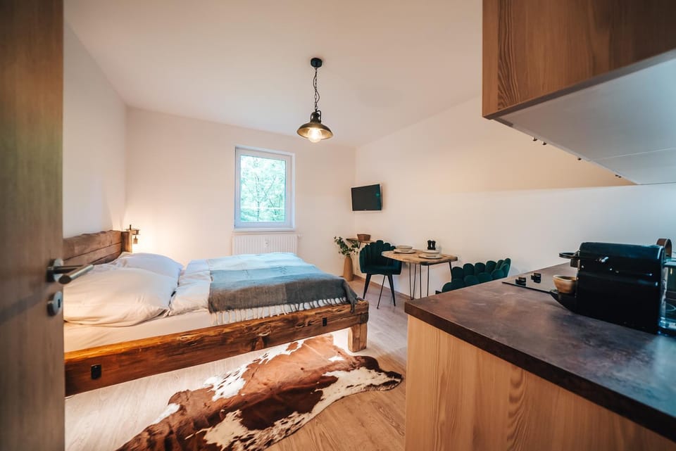 Bed, Kitchen or kitchenette, Living room, Photo of the whole room, Seating area, Bedroom