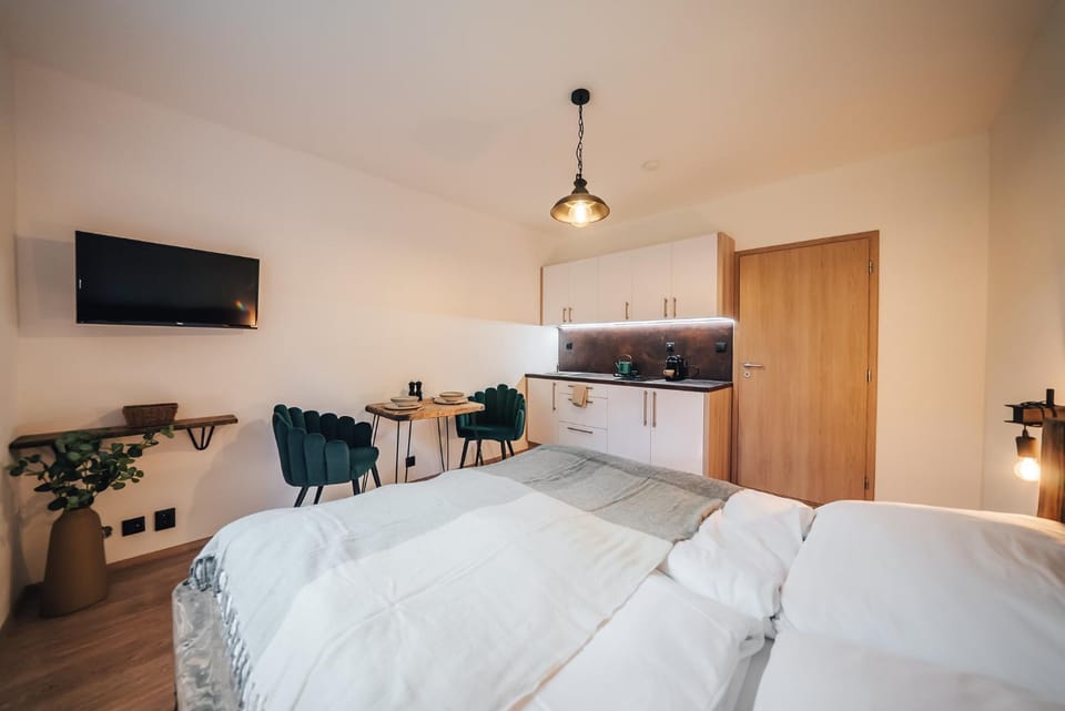 Bed, TV and multimedia, Kitchen or kitchenette, Photo of the whole room, Bedroom
