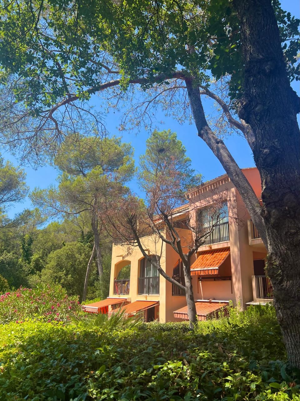 Appartement avec piscine et parking, Saint-Raphaël - La Villa de Mina Apartment in Saint-Raphael