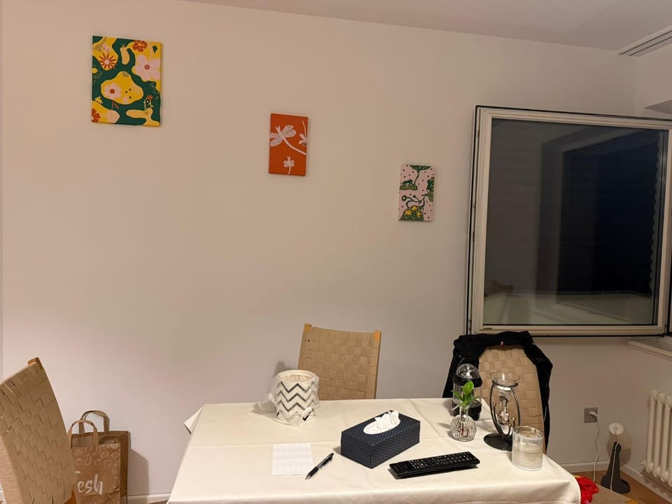 City Center big Appartement Apartment in St. Gallen