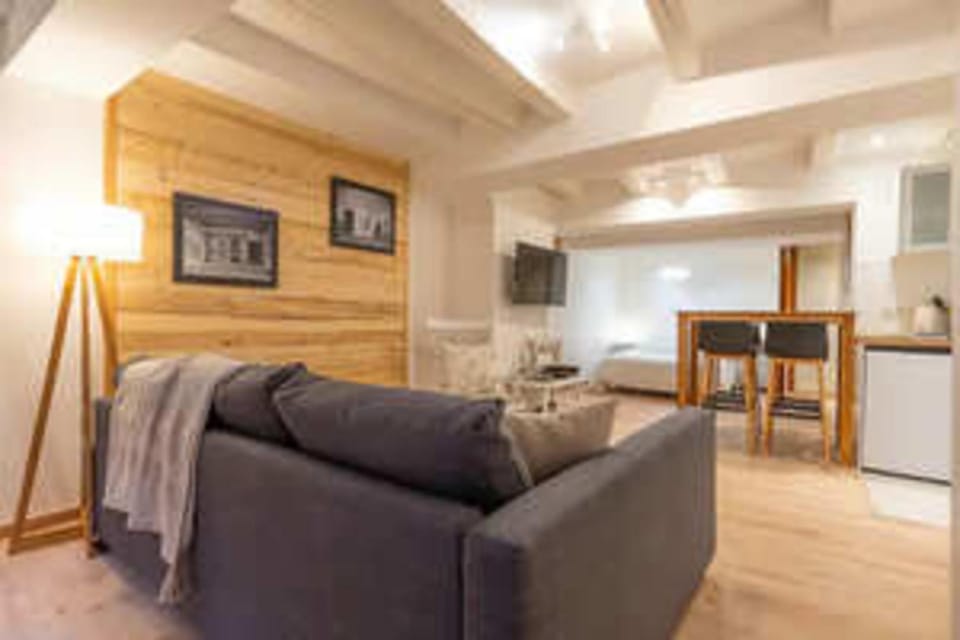 Spacious studio near Lake Annecy Apartment in Annecy