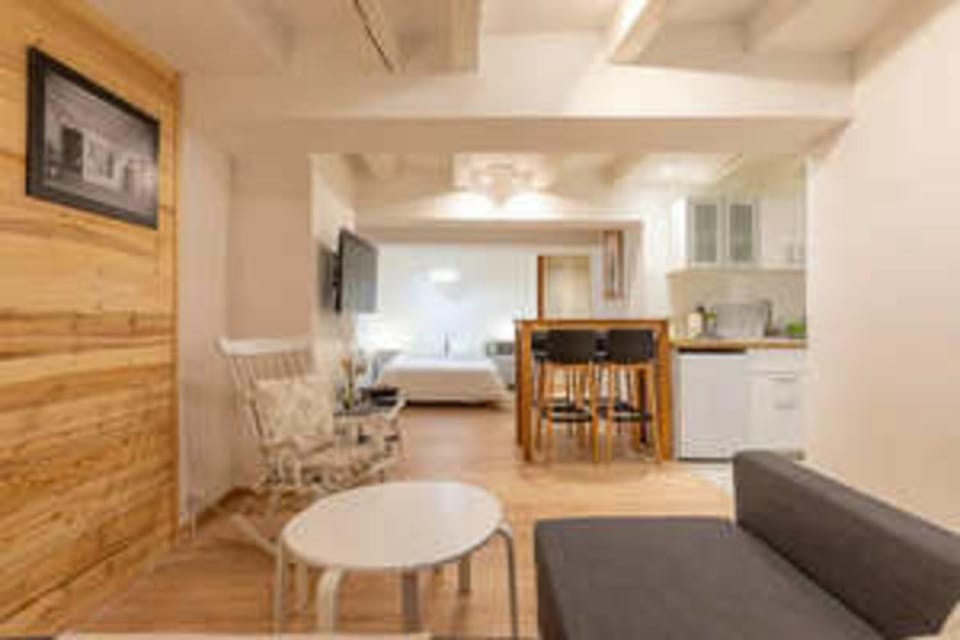 Spacious studio near Lake Annecy Apartment in Annecy