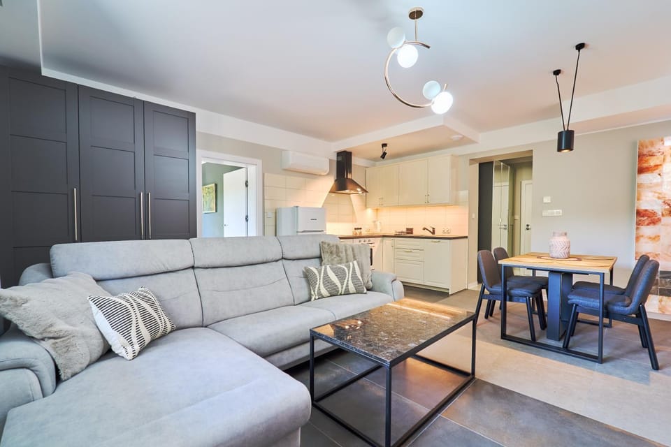 Kitchen or kitchenette, Living room, Seating area, Dining area