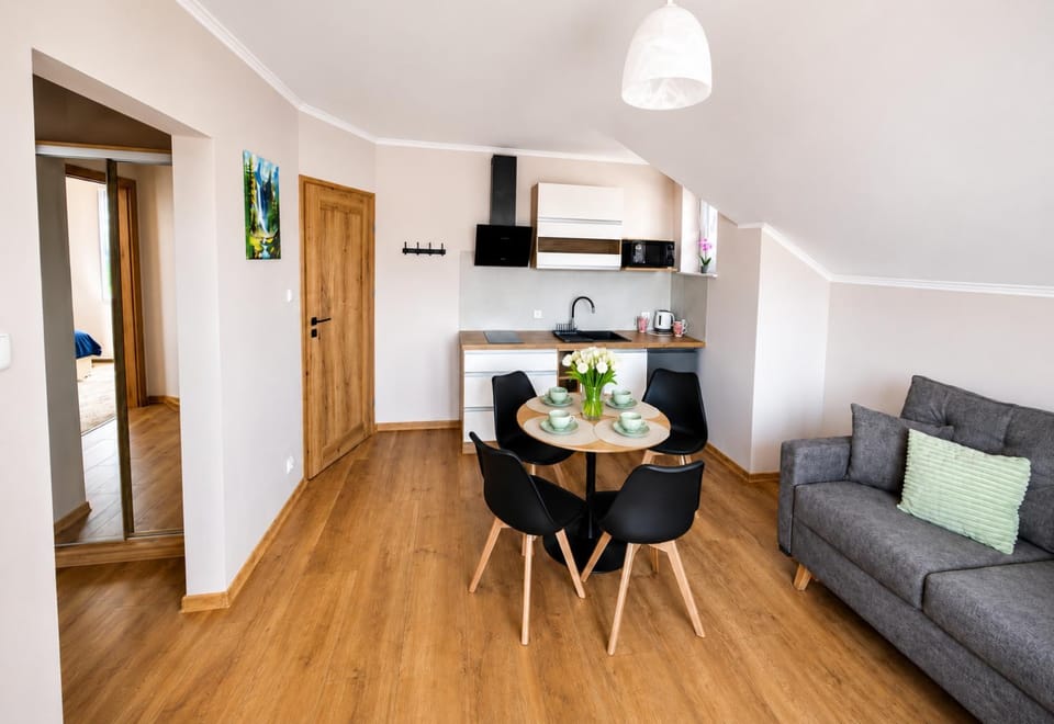 Kitchen or kitchenette, Living room, Seating area, Dining area, stove