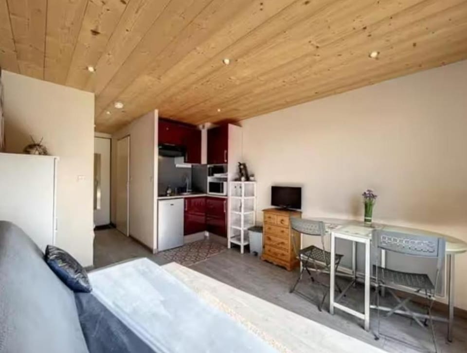 Studio montagne Les Carroz Apartment in Arâches-la-Frasse