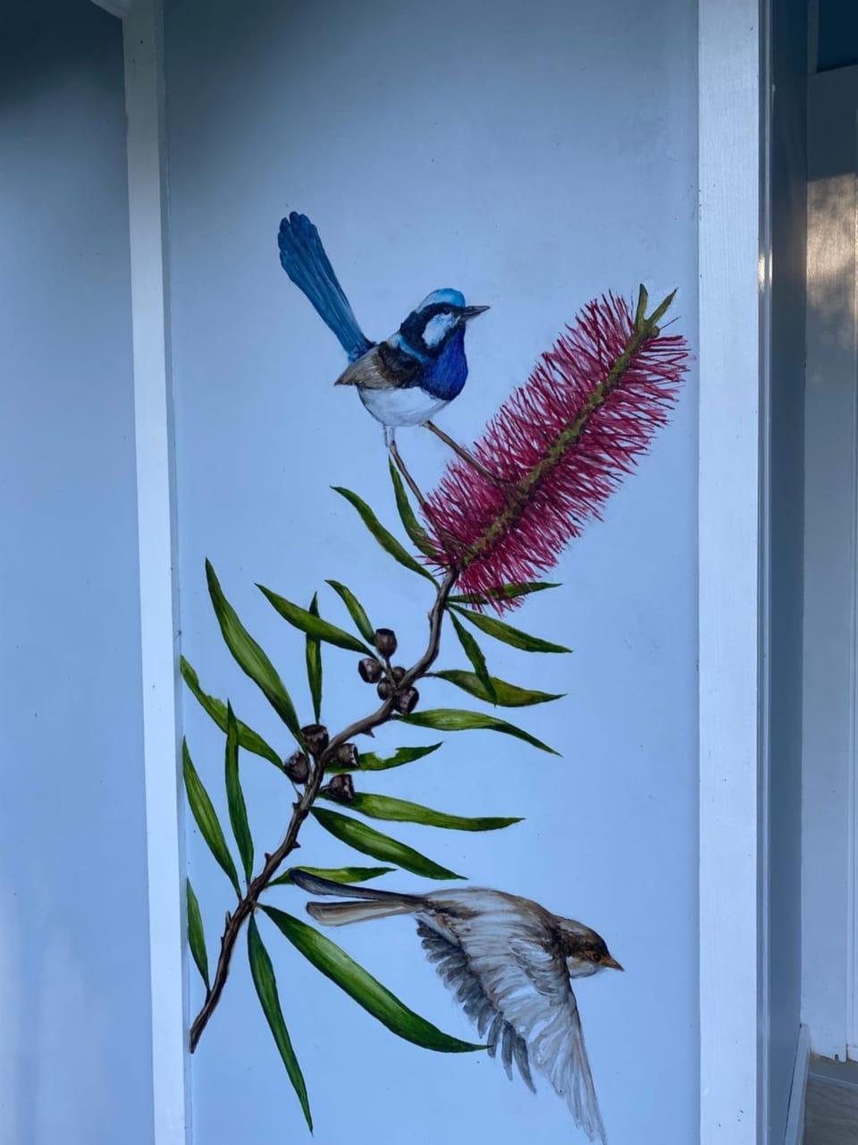 The Blue Wren House in Blackheath