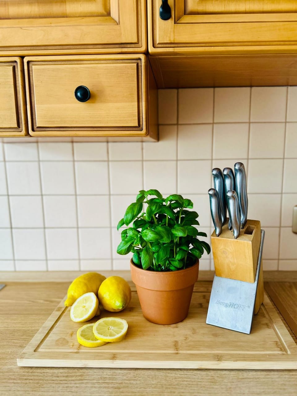 Apartament na Muszelkowej Apartment in West Pomeranian Voivodeship, Poland