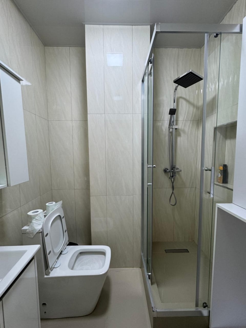Shower, Toilet, towels