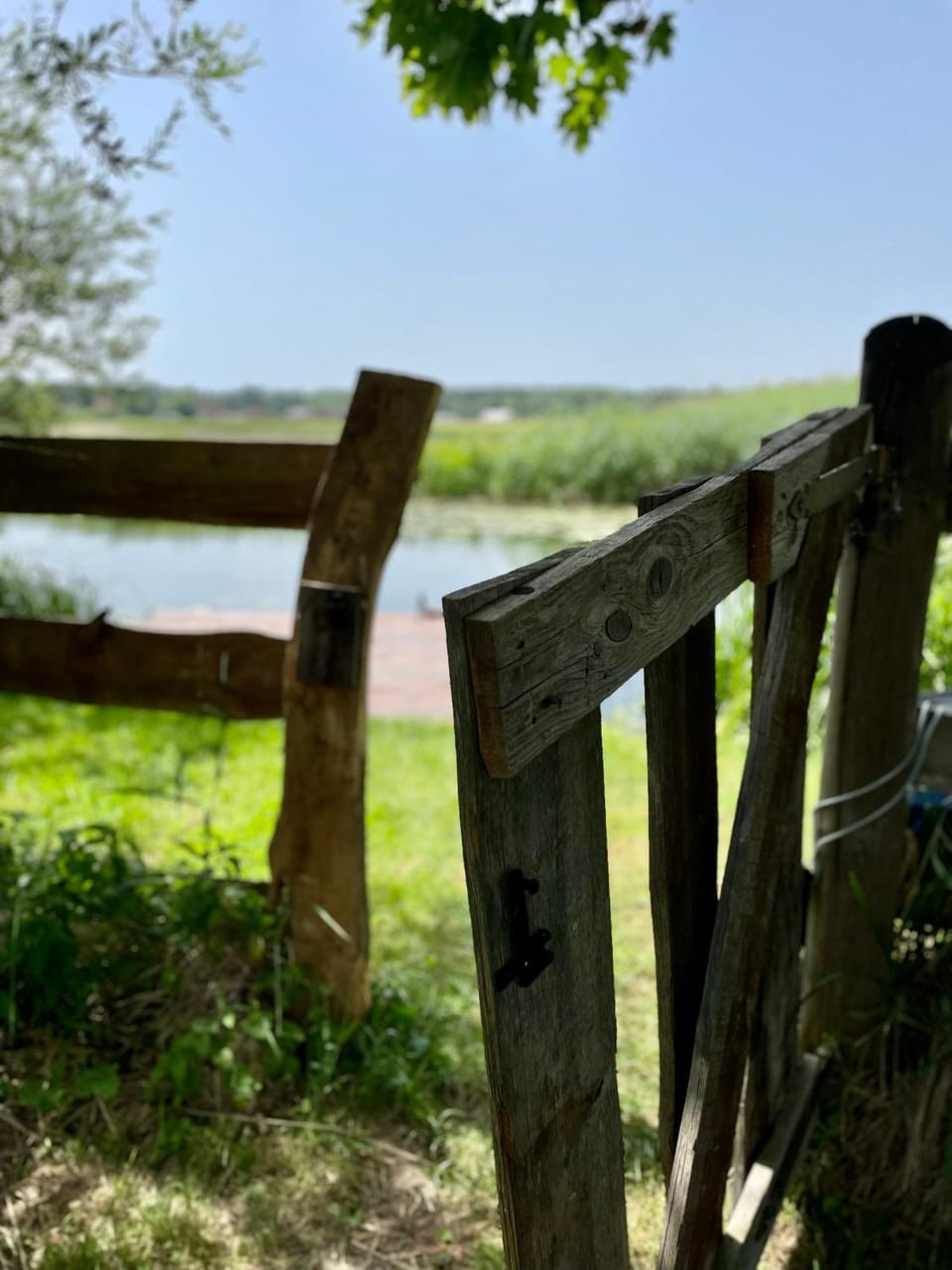 River view