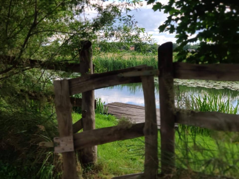 Natural landscape, River view