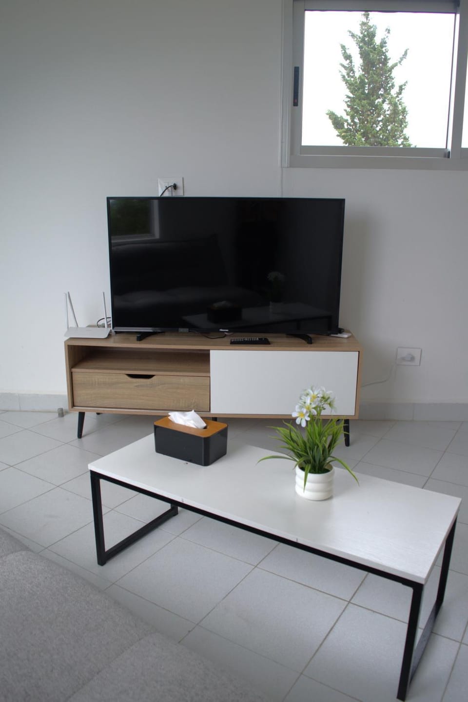 TV and multimedia