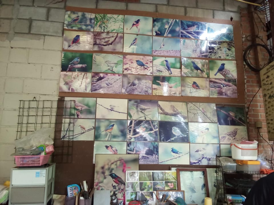 Mr Deang shop Doi Inthanon bird center Vacation rental in Thailand