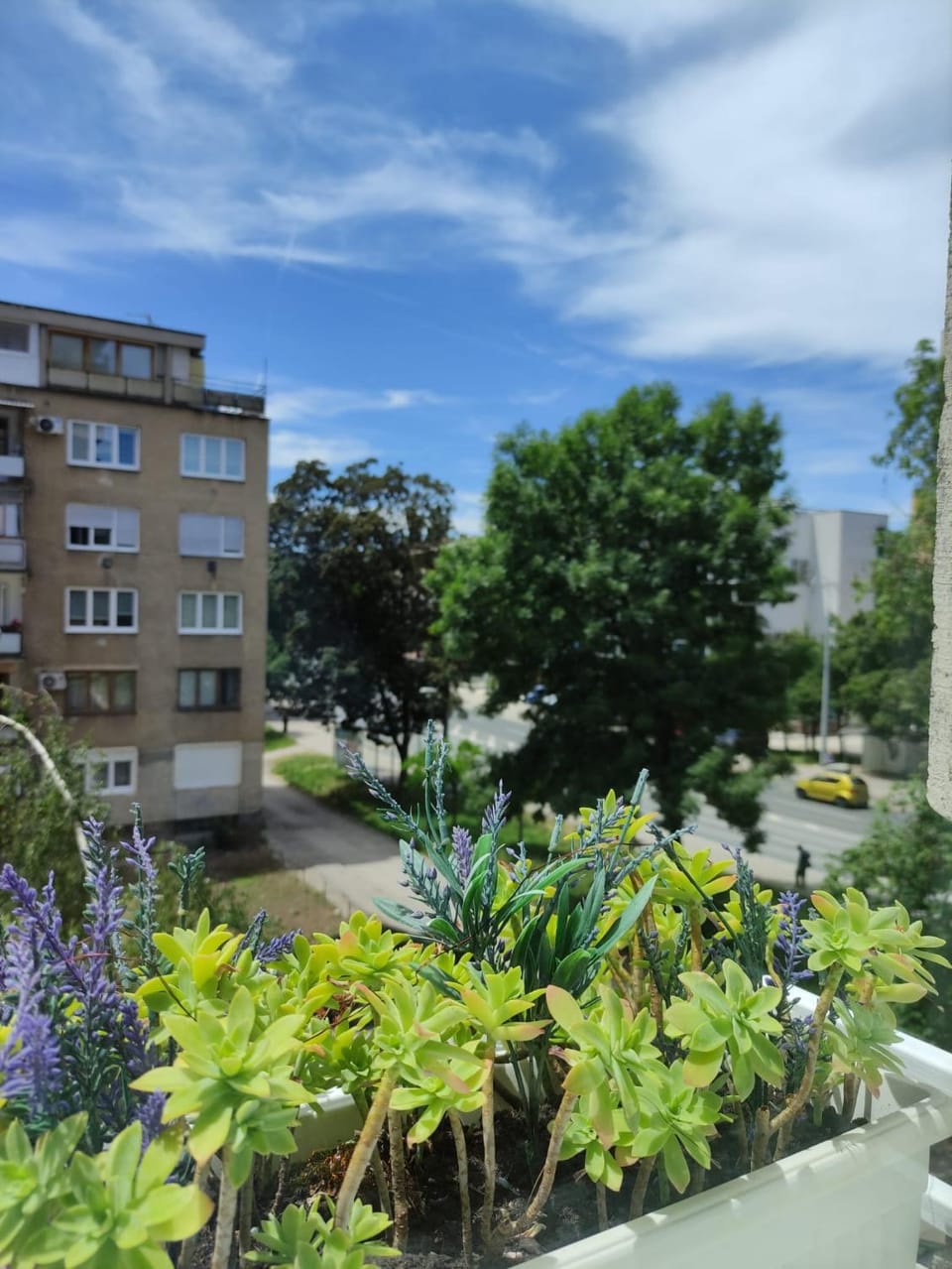 View (from property/room)