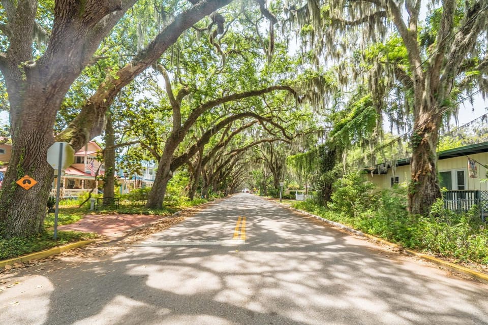 Oak Canopy Escape - St Augustine Heated Pool House in Saint Augustine