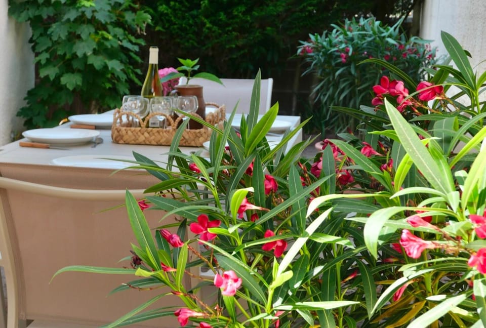 Les Coccinelles - 200 mètres de la plage House in Jullouville