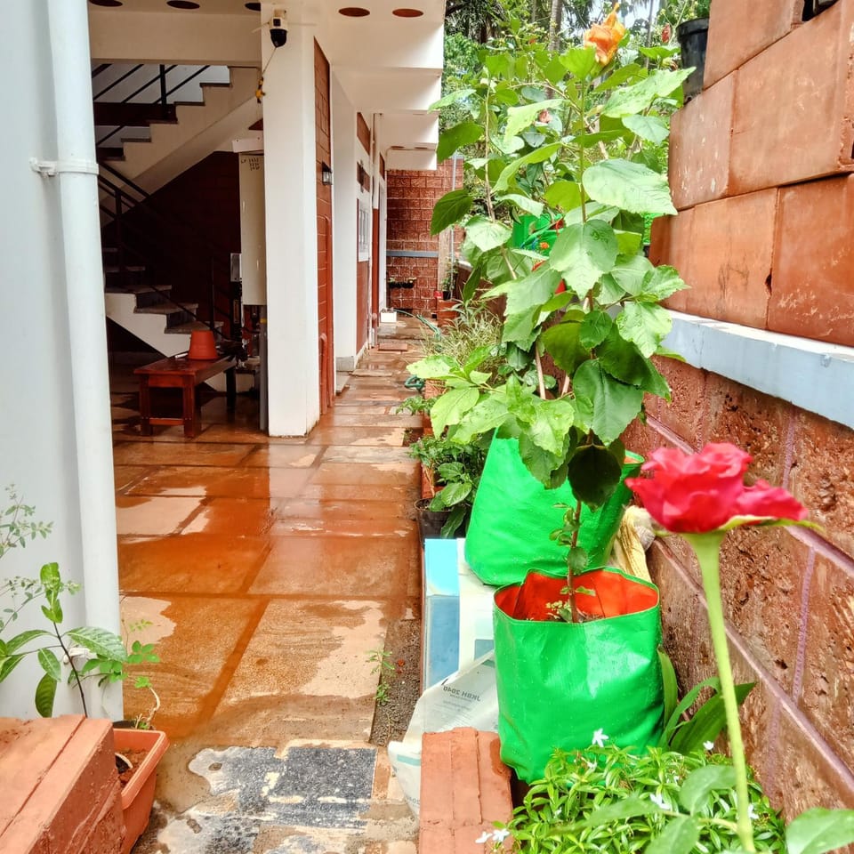 DhruvDhanush-3 -the eco friendly homes Vacation rental in Karnataka