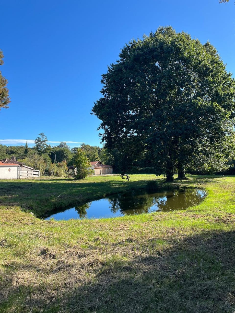Nearby landmark, Natural landscape