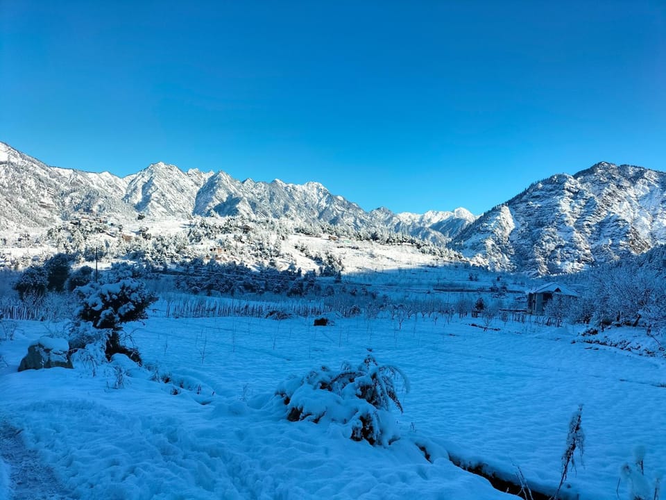 Peak Paradise homestay Apartment in Himachal Pradesh