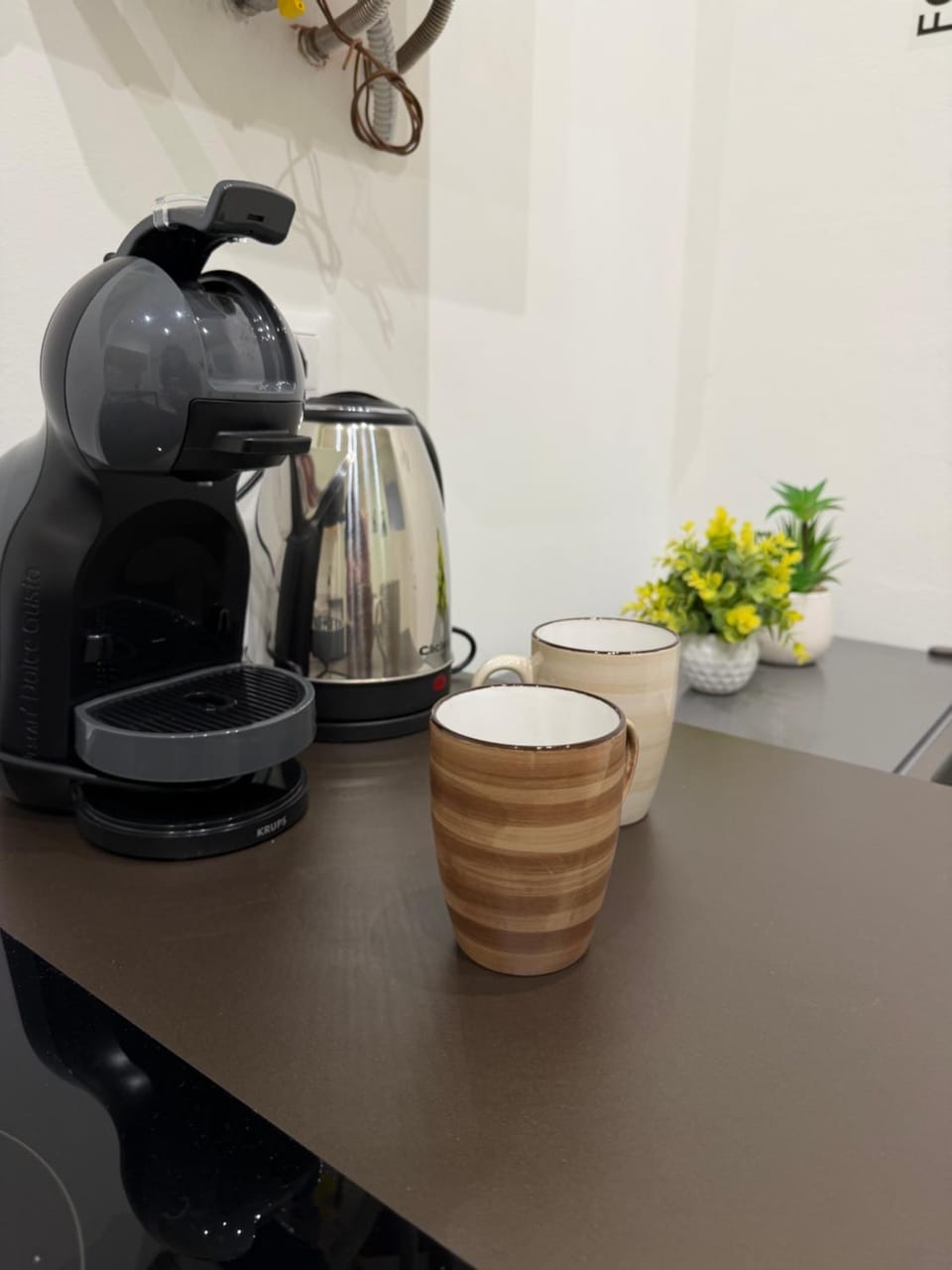 Apartament Green - Zona San Salvario Apartment in Turin